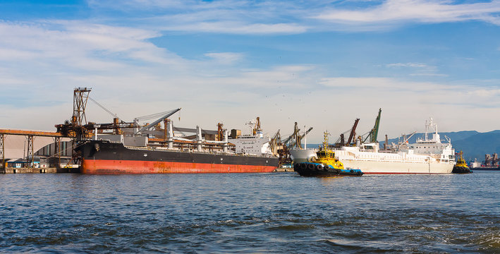 Ships being loaded at the Port of Santos, Brazil.