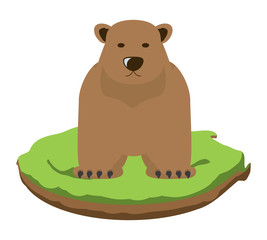 Wild grizzly bear on grass block over white background, colorful design. vector illustration