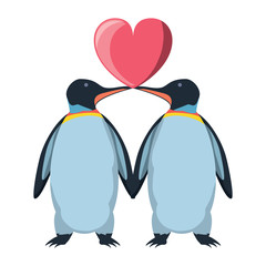 cute couple of penguis with heart icon over white background, colorfu design. vector illustration
