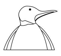 Cute penguin icon over white background, vector illustration