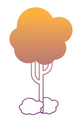 tree icon over white background, colorful design. vector illustration