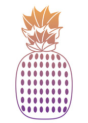 pineapple icon over white background, colorful design. vector illustration