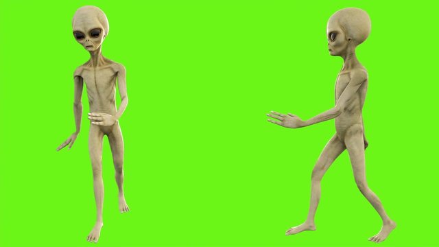 Alien walks. Loopable animation on green screen. 4k.