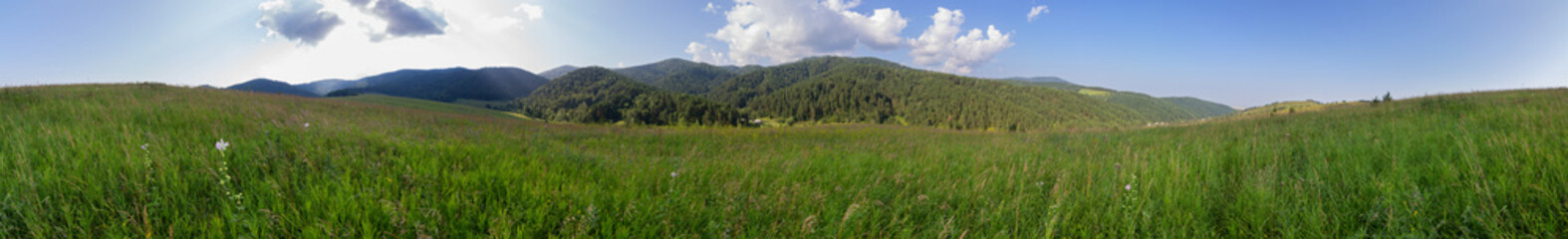 Beautiful summer panorama of lush vegetation in Altai Mountains