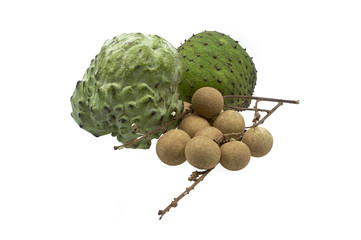 Soursop, Custard Apple and Logan Fruits