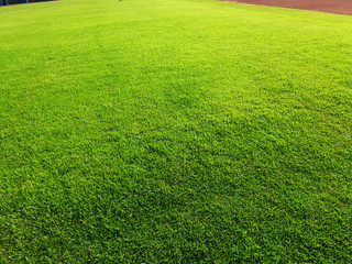 The lawn landscape of the football field