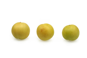 Yellow Plum