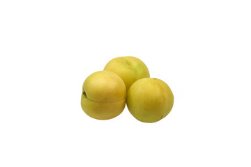 Yellow Plum