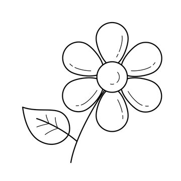 Daisy flower vector line icon isolated on white background. Field daisy flower with a petal line icon for infographic, website or app.