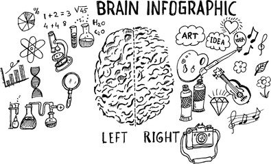 brain infograph, doodle