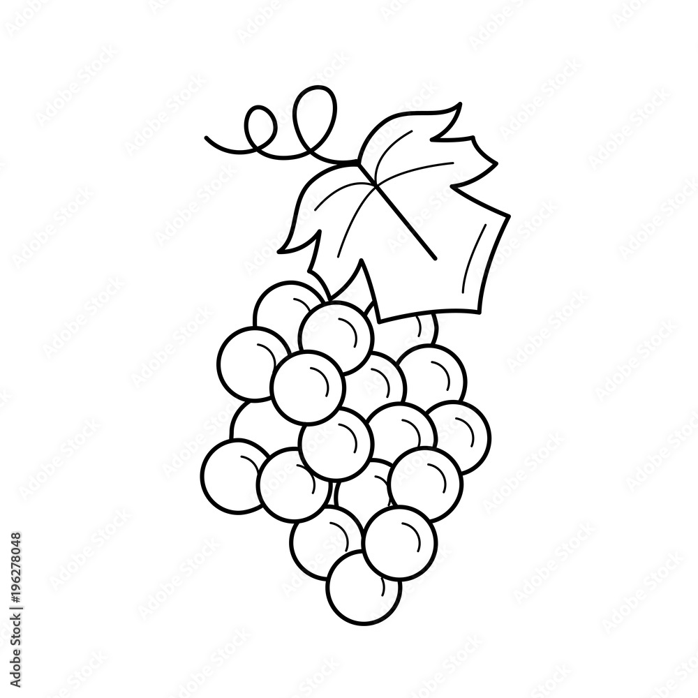 Canvas Prints bunch of grapes vector line icon isolated on white background