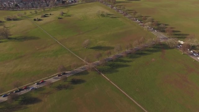 Aerial Drone Shot of Cars Driving on Scenic Tree Lined Road in Park