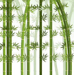 Background design with bamboo trees