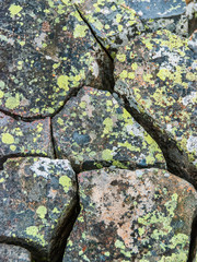 Moss-covered cracked stone