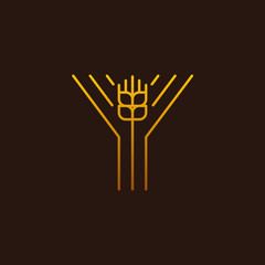 Letter Y Line style logotype with wheat,rice organic grain products and healthy food vector illustration