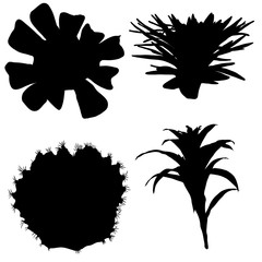 Black silhouettes of succulents and cactuses set. Trendy tropical design for textile. Set of various hand drawn cacti exotic plants. Vector.