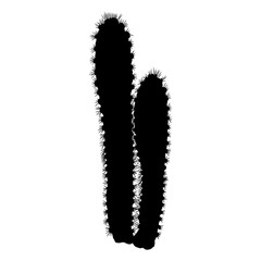 Black silhouettes of wild cactus. Hand drawn prickly cacti. Terrarium Succulent flower. Wild floral exotic tropical plant. Vector.