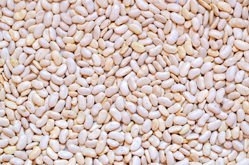 background of beans (white bean), top view