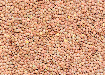 background of beans (lentil), top view