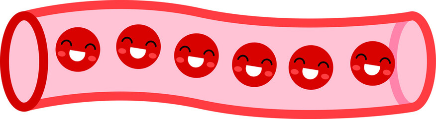 Healthy blood vessel face 1