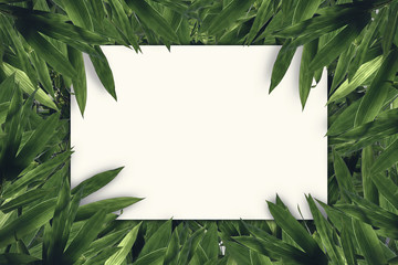 Creative layout on green leaves bamboo with paper card note. Flat lay. Nature concept