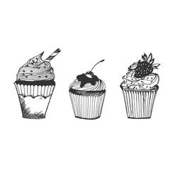 Cupcakes in sketch style, hand drawn vector illustration