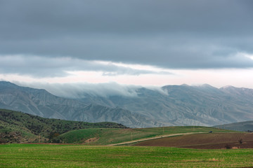 Obraz premium Rural road between green farmer fields