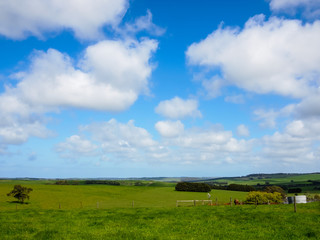 Obraz premium green fields and blue sky in the valley