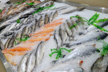 Свежая рыба на льду с ценой