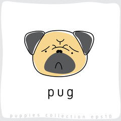 Dog Breed Collection : Vector Illustration
