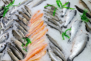 Свежая рыба на льду с ценой