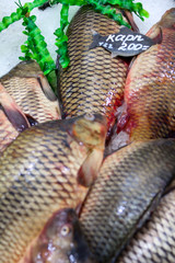 Карп Свежая рыба на льду с ценой