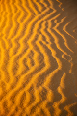   brown sand dune  sahara morocco desert