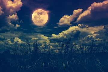 Foto auf Acrylglas Bright full moon above wilderness area, serenity nature background. © kdshutterman