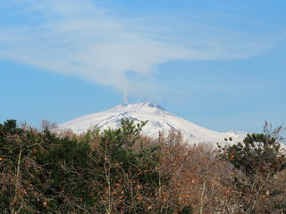 ベッリーニ庭園から見るエトナ山　カターニア　シチリア　イタリア