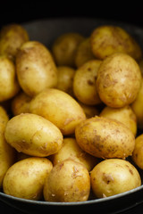 fresh vegetables on the black background