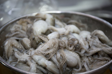 Baby Octopus (Jjukkumi) is famous season food for Autumn in Korea and it is being Washed, ready for cooking