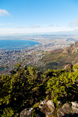 in south africa cape town city skyline from table mountain