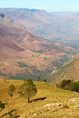  in swaziland    wildlife  nature   reserve
