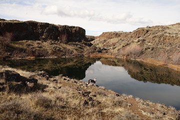 Landscapes of the Pacific Northwest 