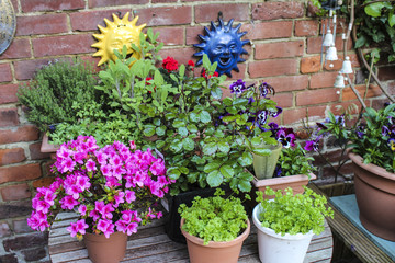 Fototapeta na wymiar Dispaly of Herbs and Garden Flowers in sunshine