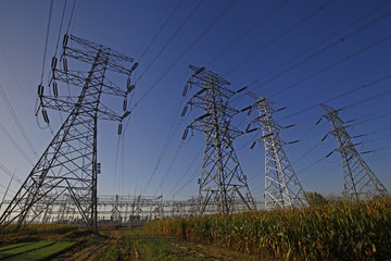 High voltage electric tower line