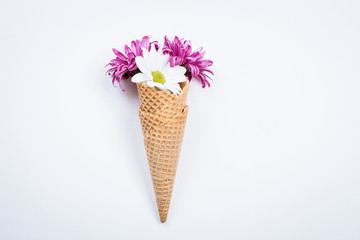 Flowers composition with waffle cones and chrysanthemum on white background. Still life Art Concept. Top view, flat lay, copy space