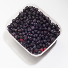 blueberries in the container