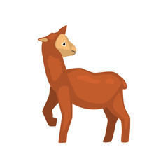 Fototapeta premium Cute brown lamb farm animal vector Illustration on a white background