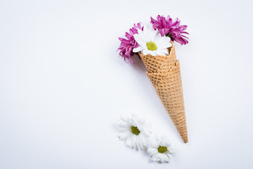 Flowers composition with waffle cones and chrysanthemum on white background. Still life Art Concept. Top view, flat lay, copy space