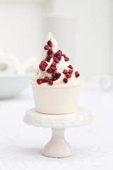 Granatapfelkerne auf Frozen Yoghurt