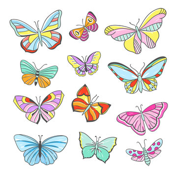 Butterfy collection. Beautiful flying butterflies and insects hand drawn illustrations