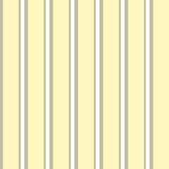 Abstract vector geometric background.Vertical striped.Print for interior design and fabric