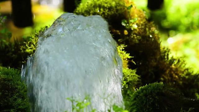 羊蹄のふきだし湧水